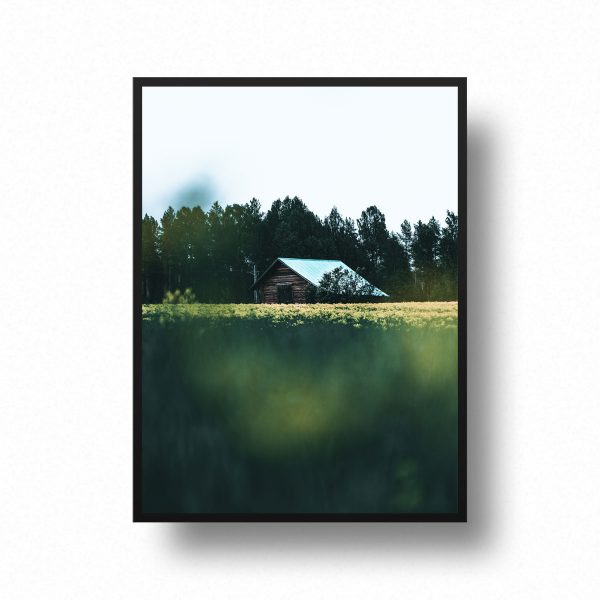 Printshop-Dandelions-store-grab-design-sweden-framed-barn
